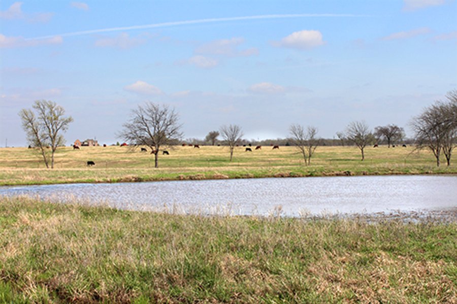 LAND & MINERAL ACRES OKLAHOMA AUCTION, 588+/- Land & Producing Mineral Acres offered in 24 Tracts in Okmulgee County